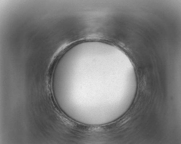 X0000057561454200509302032