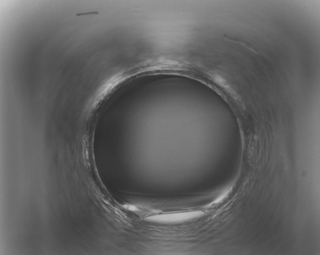 X0000057561455200509302032