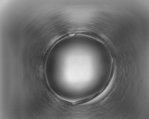 X0000057561457200509302032