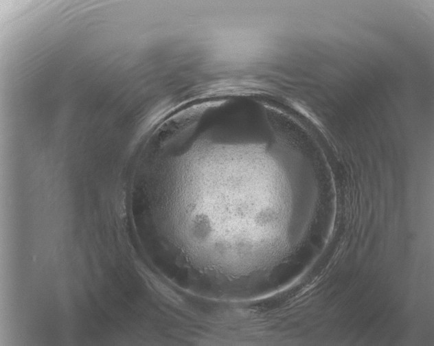 X0000057561459200509302032