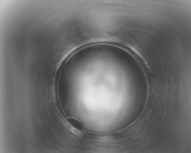 X0000057561460200509302032