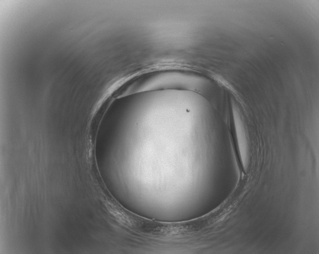 X0000057561461200509302032