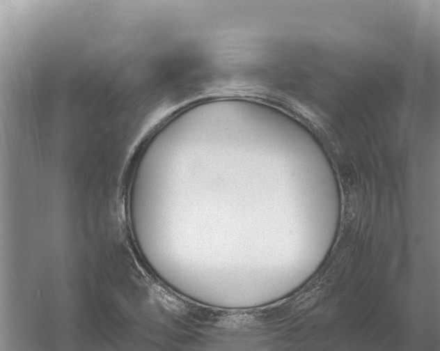 X0000057561462200509302032