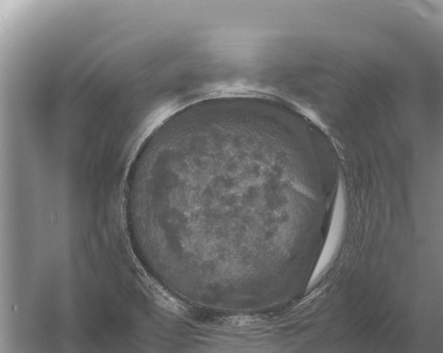 X0000057561463200509302032