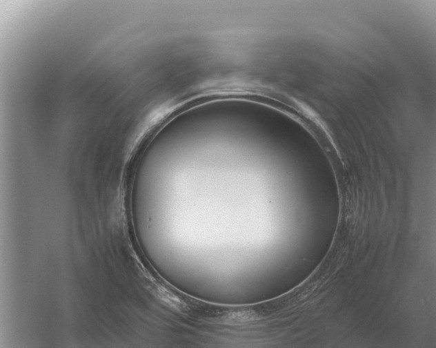 X0000057561464200509302032