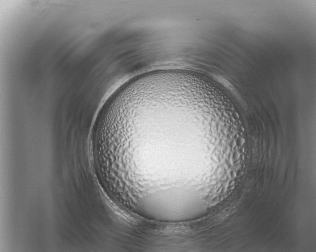 X0000057561466200509302032