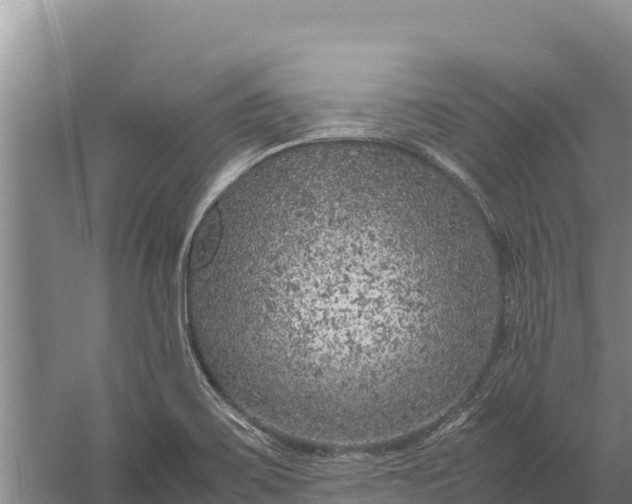 X0000057561467200509302032