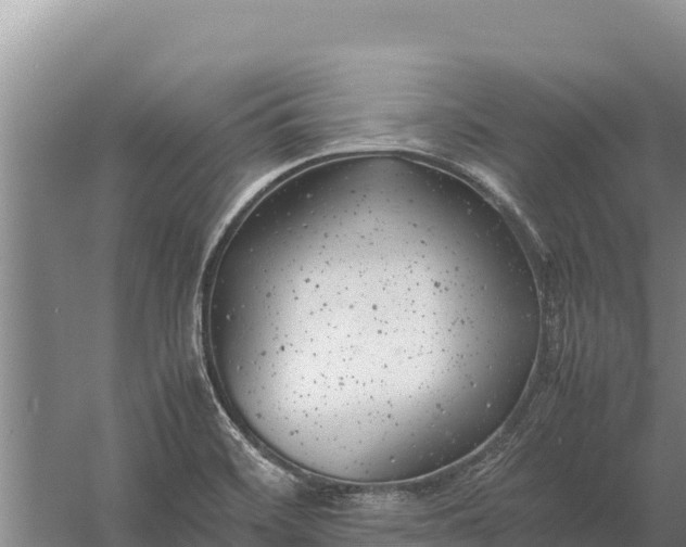 X0000057561468200509302032