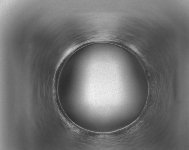 X0000057561469200509302032