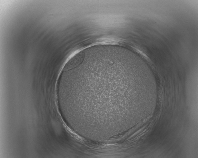 X0000057561471200509302032