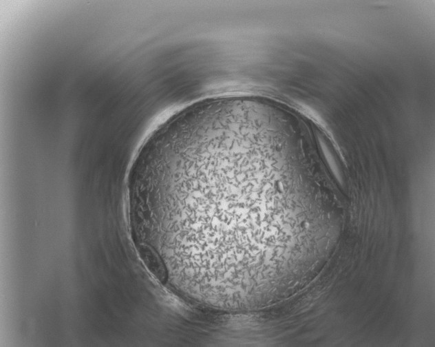 X0000057561472200509302032