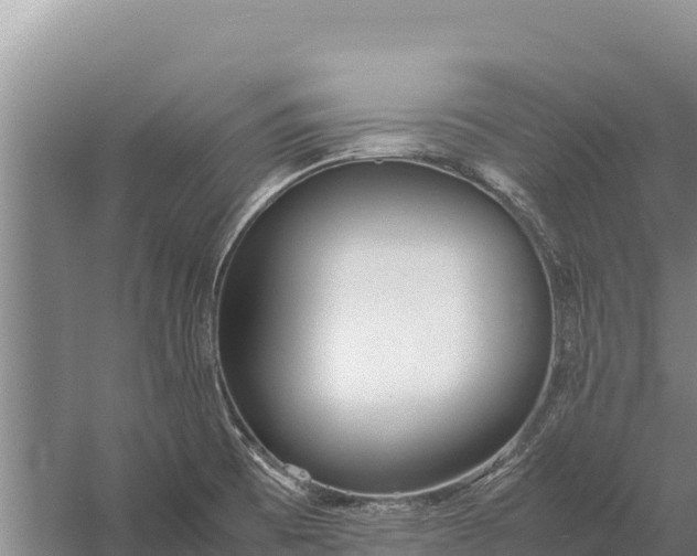 X0000057561473200509302032