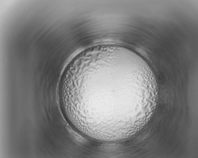 X0000057561474200509302032