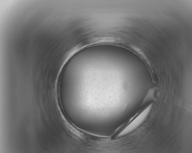 X0000057561475200509302032