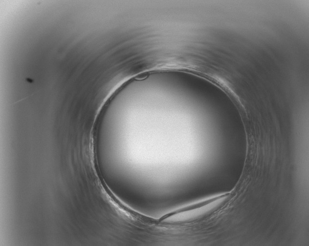 X0000057561476200509302032