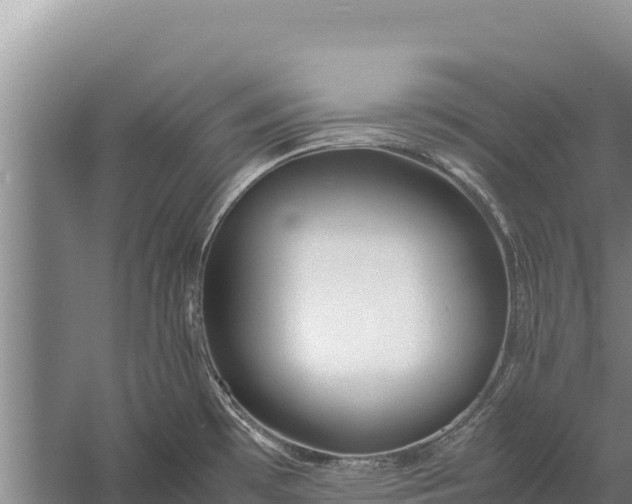 X0000057561481200509302032