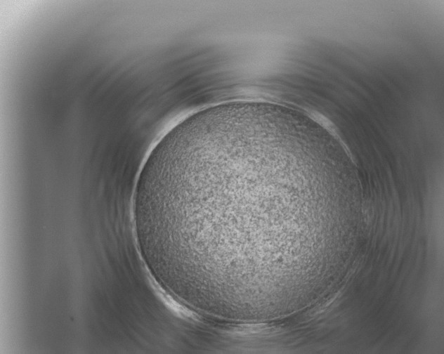 X0000057561482200509302032