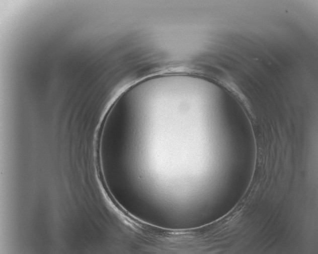 X0000057561483200509302032