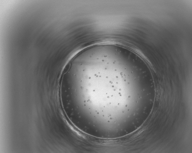 X0000057561484200509302032