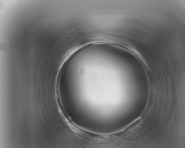 X0000057561485200509302032