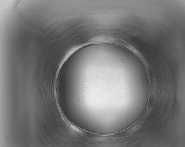 X0000057561486200509302032