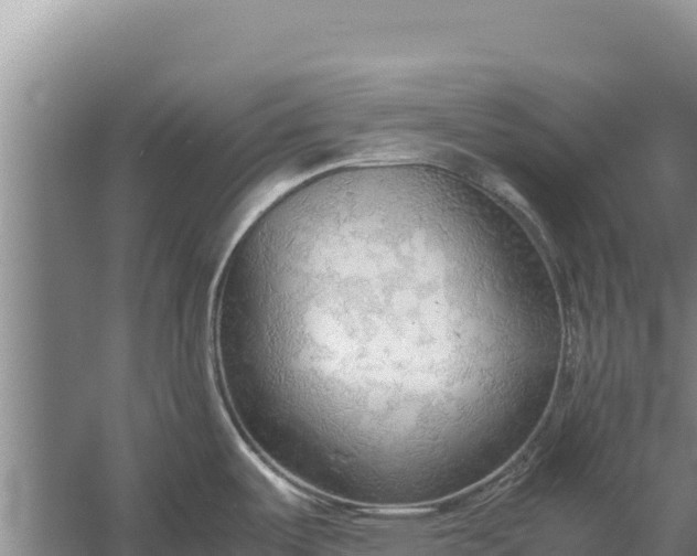 X0000057561487200509302032