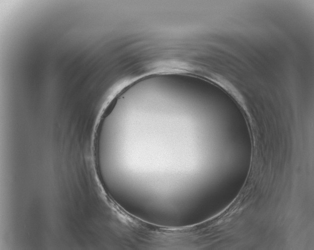 X0000057561488200509302032