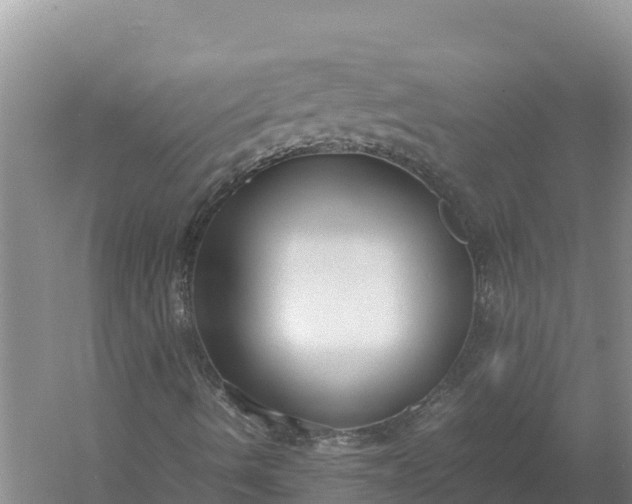 X0000057561490200509302031