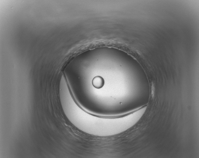 X0000057561492200509302031