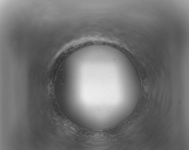 X0000057561495200509302031