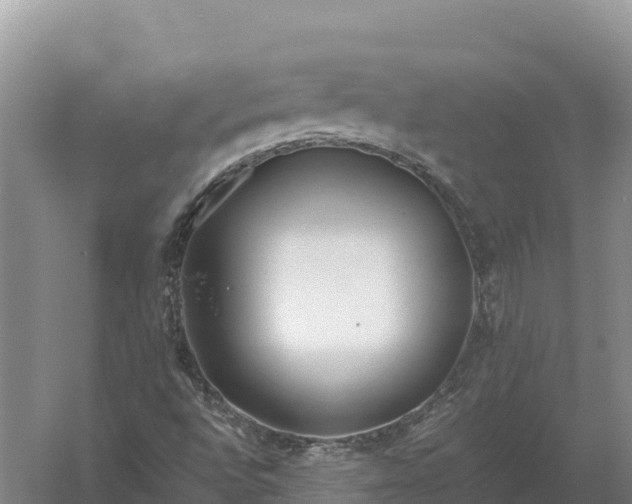 X0000057561496200509302031