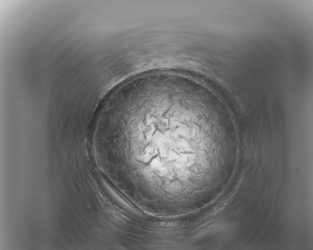 X0000057561497200509302031