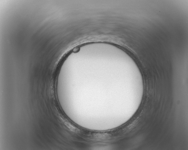 X0000057561498200509302031