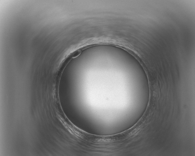 X0000057561499200509302031