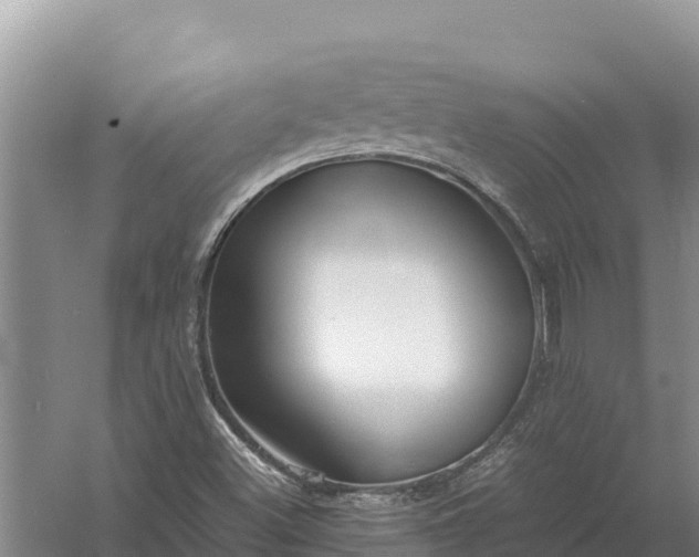 X0000057561500200509302031