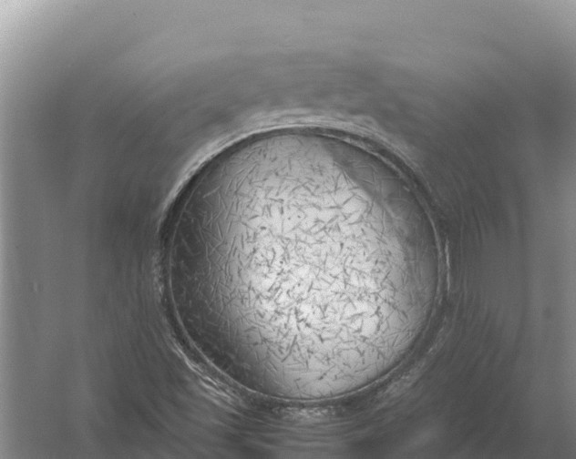 X0000057561501200509302031