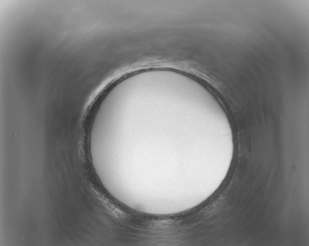 X0000057561502200509302031