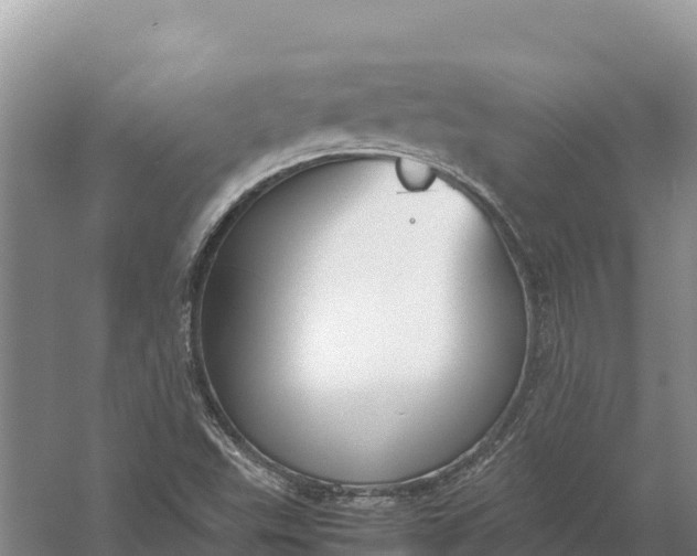 X0000057561503200509302031