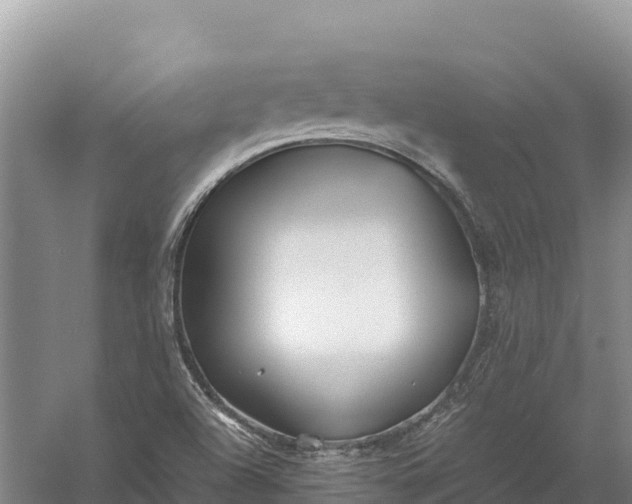 X0000057561504200509302031