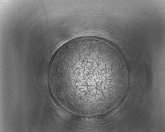 X0000057561505200509302031