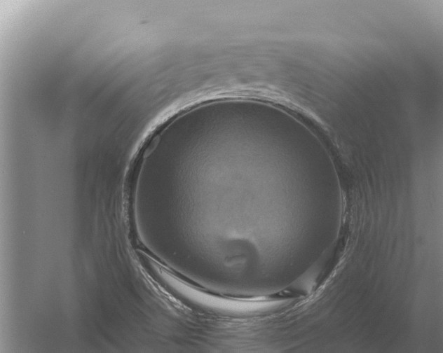 X0000057561506200509302031