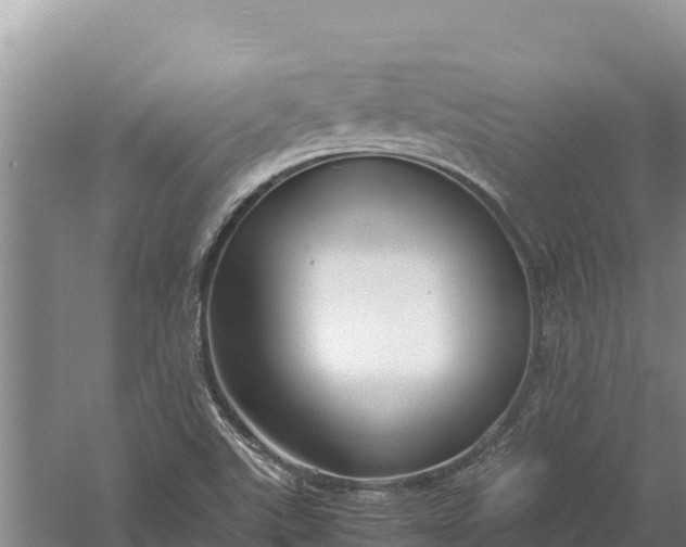 X0000057561507200509302031