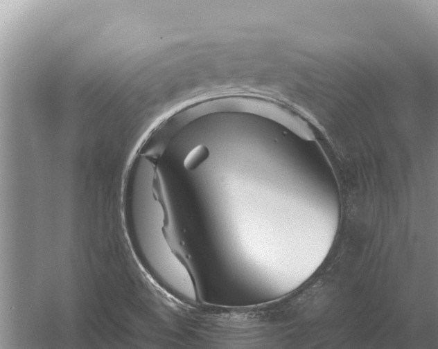 X0000057561508200509302031