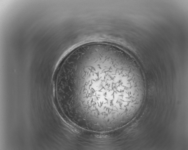 X0000057561509200509302031