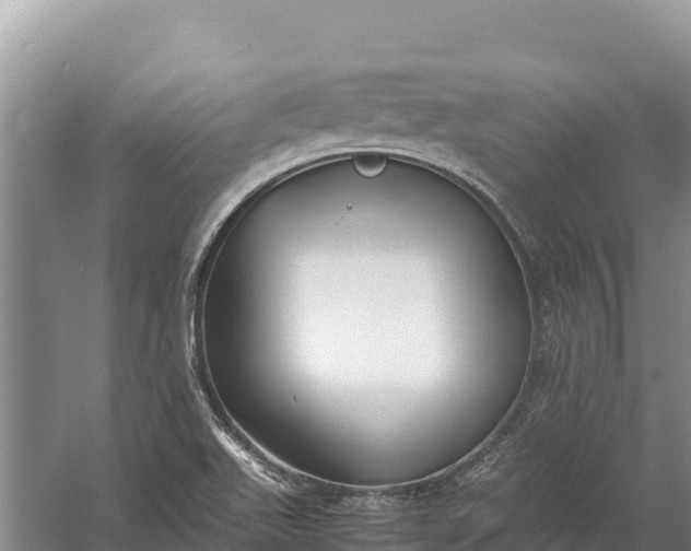 X0000057561511200509302031