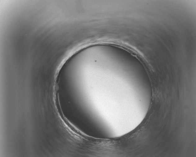 X0000057561512200509302031