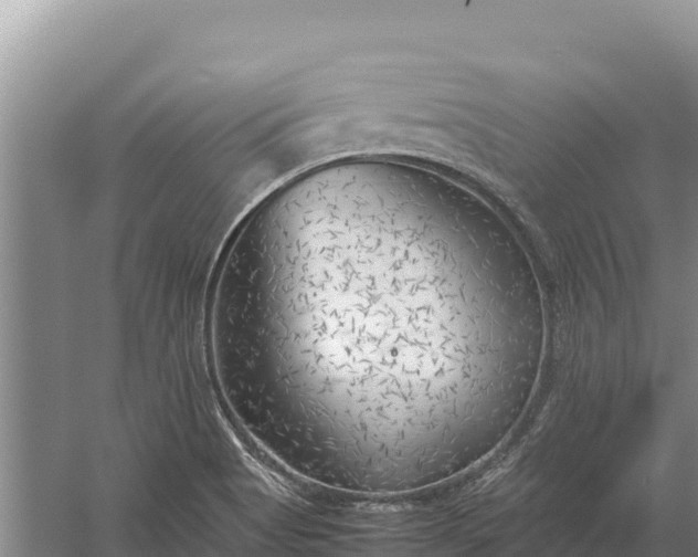 X0000057561513200509302031