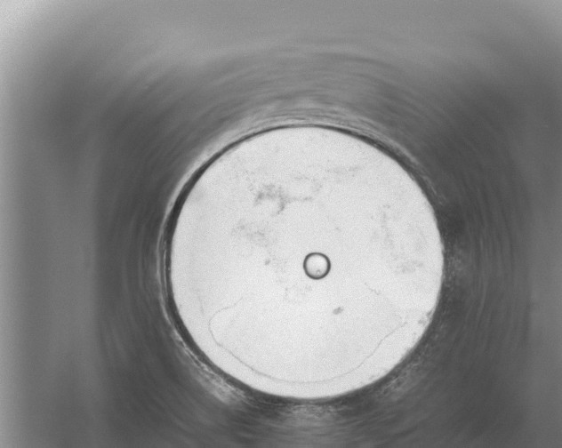 X0000057561514200509302031