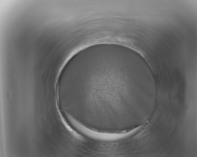 X0000057561515200509302031