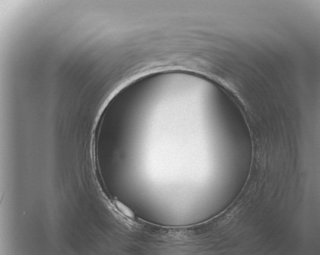 X0000057561516200509302031